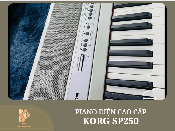 KORG SP250 KORG SP250