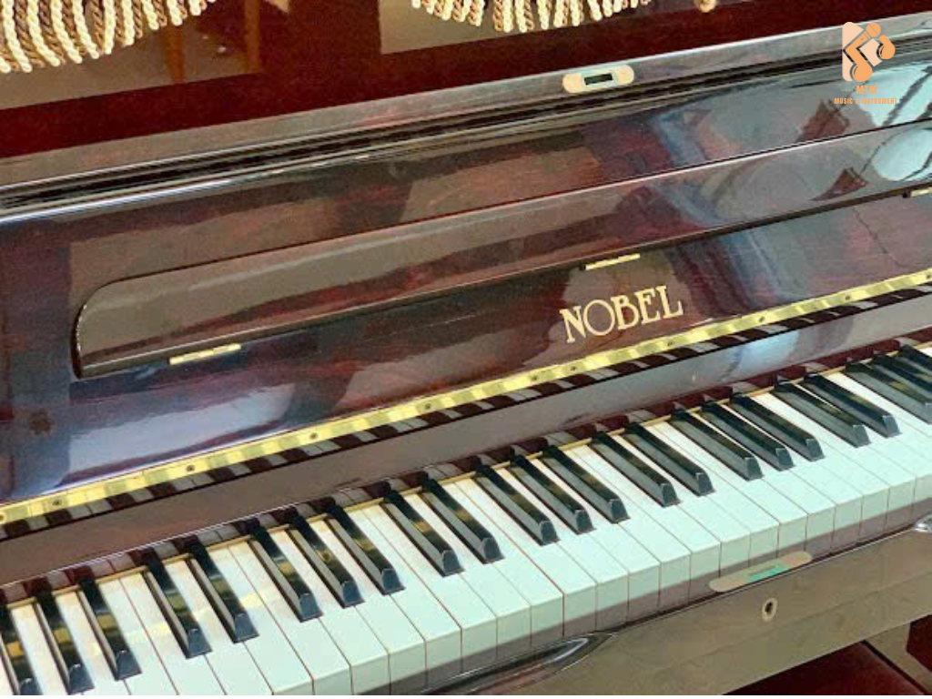 NOBEL (LIKE NEW) NOBEL (LIKE NEW)
